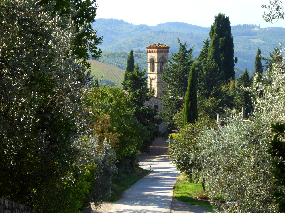Anello della Pesa da Panzano, sui crinali del Borro di San Martino. Sentiero 434